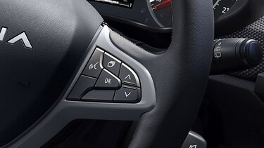 Dacia Media Control multimedia radio