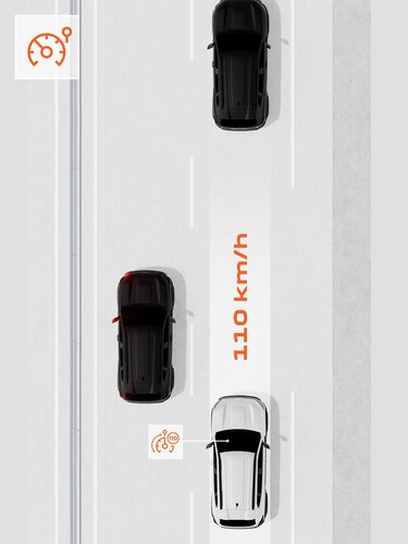cruise control and speed limiter - Dacia Duster