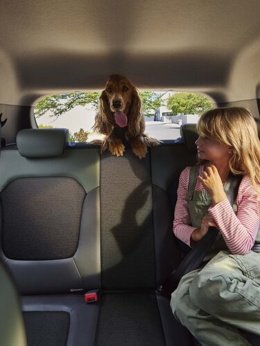 Dacia Spring electric