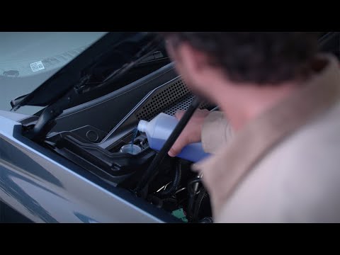 Dacia Bigster - Fluid levels