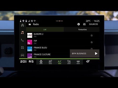 Dacia Bigster - Radio and music