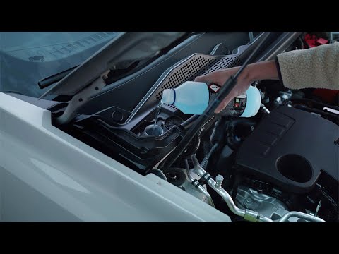New Dacia Duster - Fluid levels